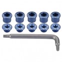 Kettenblattschrauben Campa blau