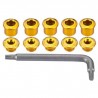 Kettenblattschrauben 1-Fach gold