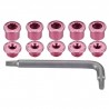 Woodman Kettenblattschrauben 2-Fach rosa